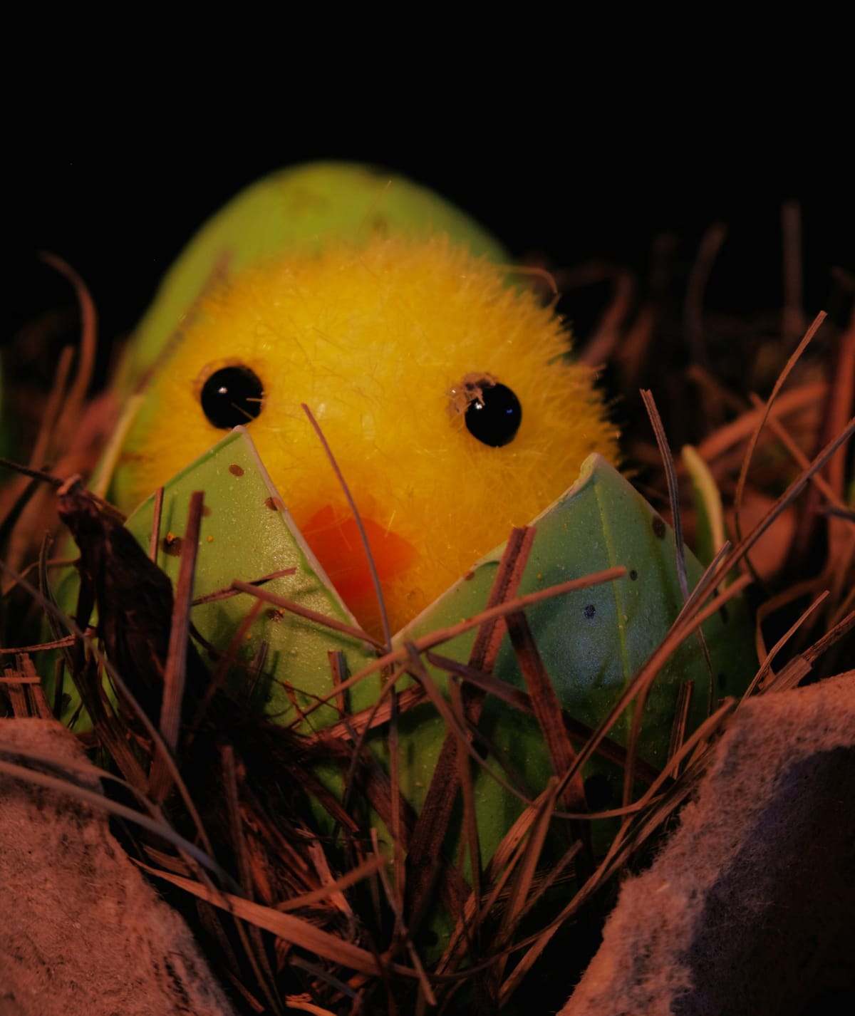 An ambitious emergence